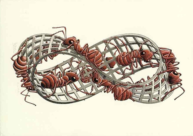 Möbius Strip II (Red Ants) woodcut (1963)